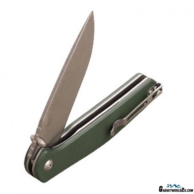 Ganzo G6804-GR Liner Lock G10 Folding Knife