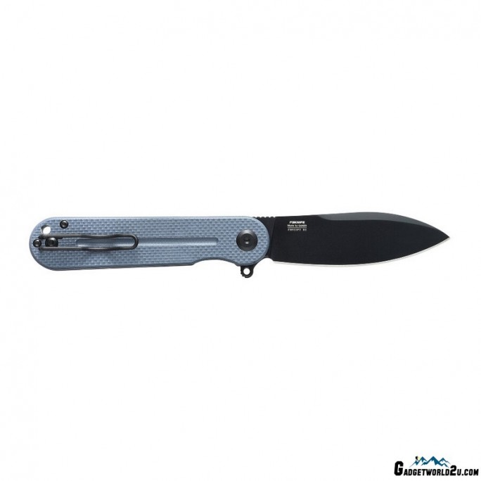 Ganzo FH922PT-GY Liner Lock G10 Folding Knife